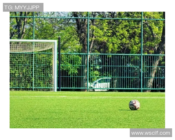 2025年足球世界排名前十球星大盘点 谁将称霸绿茵场