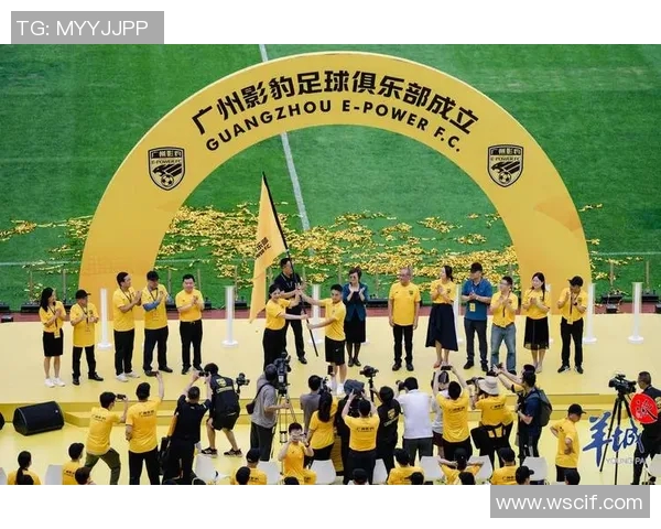 武家坡绿茵逐梦展现非凡才华引领新时代足球热潮